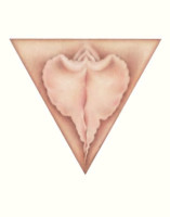 Christina Camphausen: Sacred Triangle