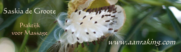 Saskia de Groote, banner