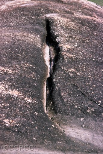 image of Hinta Hinyai