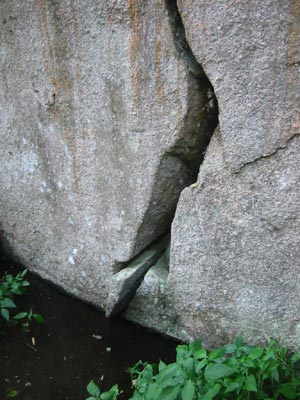 image of Natural Cleft
