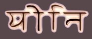 The word YONI in Sanskrit